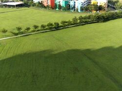 Blk 272A Jurong West Street 24 (Jurong West), HDB 5 Rooms #560990911